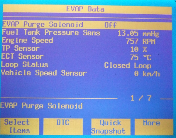 Вид одного из интерфейсов диагностики системы EVAP на дилерском диагностическом компьютере GM - TECH-2